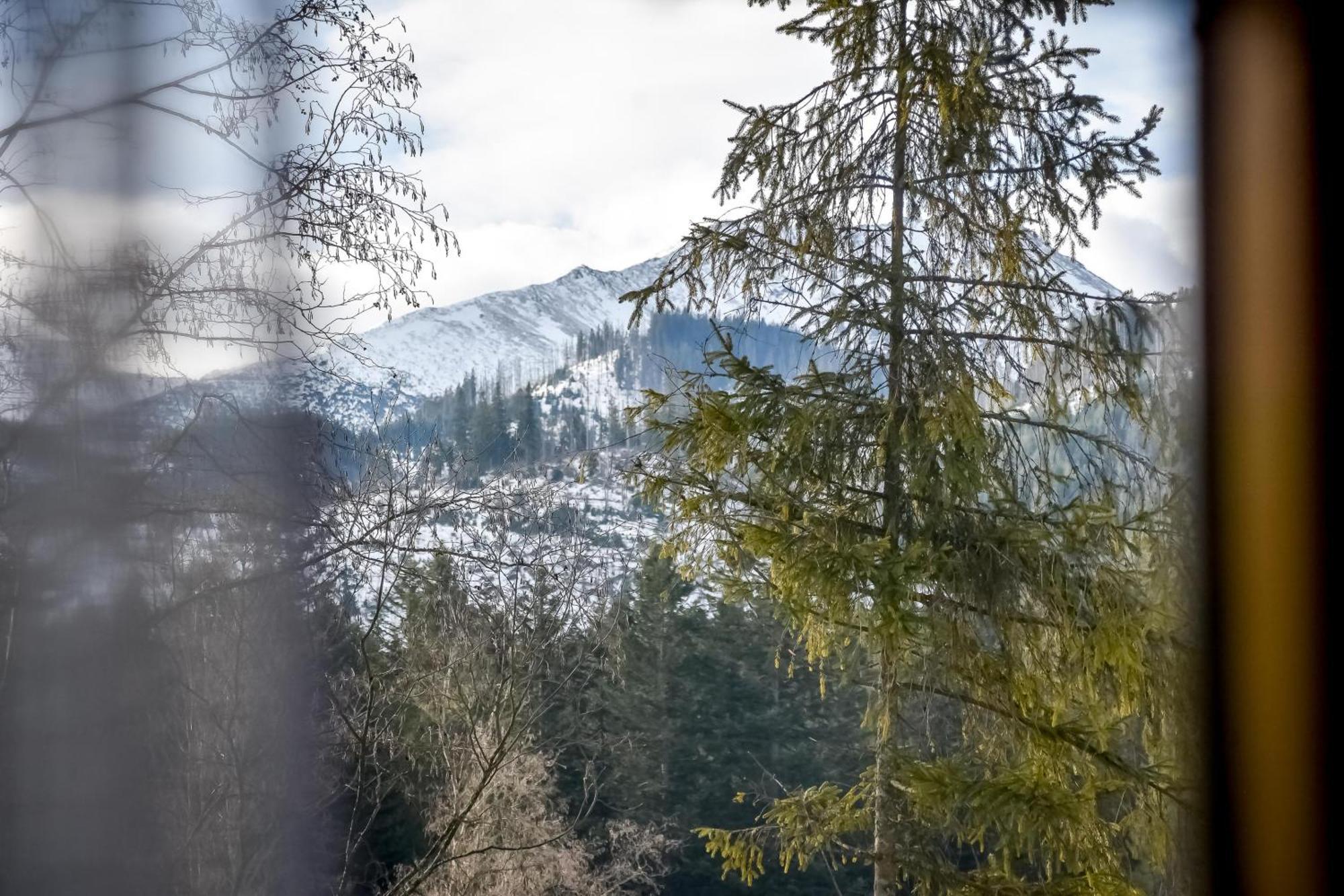U Justynki Bed & Breakfast Ciche Małe Dış mekan fotoğraf